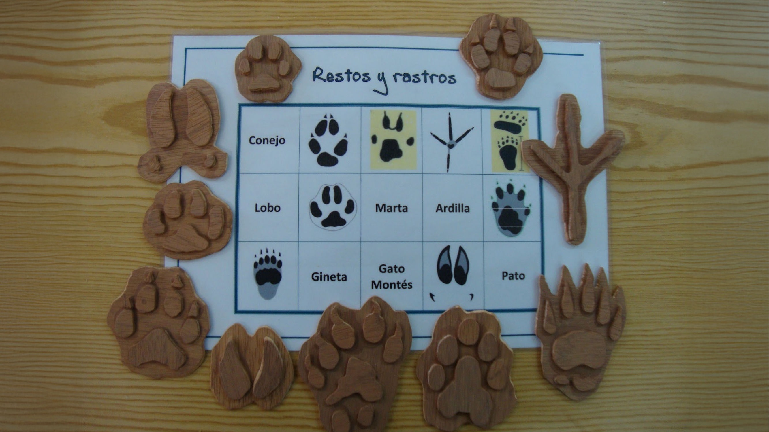 Rastros y huellas
